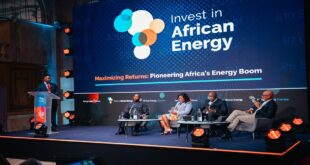 Africa’s LNG growth hinges on investment, strategic partnerships