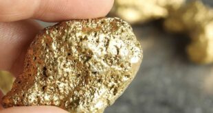 IMF Warns Ghana Over Growing Concentration Risk in Gold Surge – Update